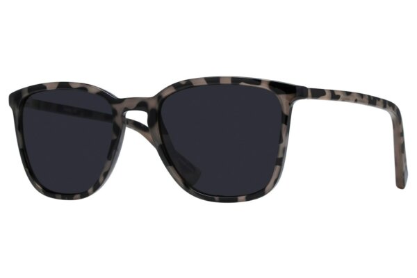 Lunettos Becket Tortoise Sunglasses