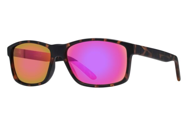 Lunettos Chris Tortoise Sunglasses