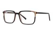Westend Salisbury Glasses- Black